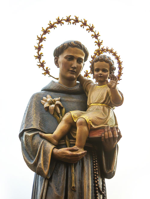 Logo sant'Antonio MSA